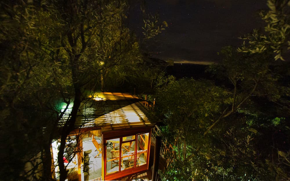 Teniqua Treetops Tented Treehouse Resort