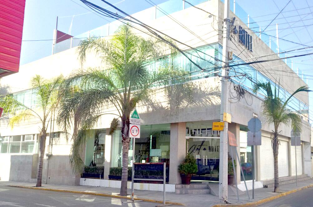 Art Hotel Aguascalientes