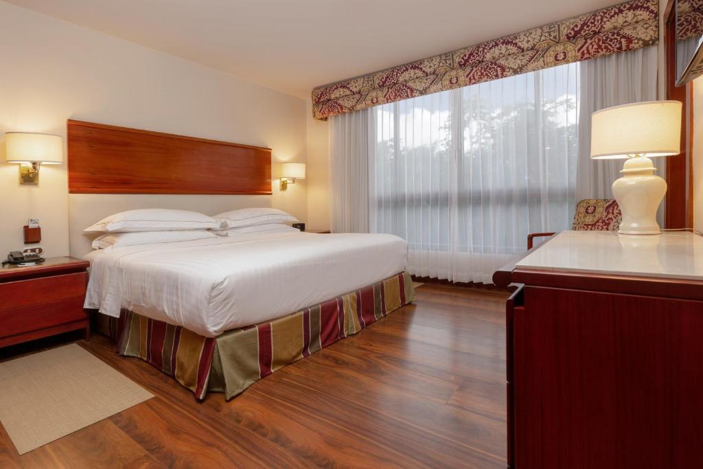 Barceló San José