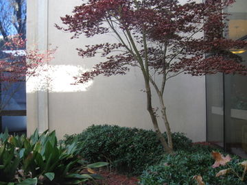 Holiday Inn Fayetteville-I-95 South