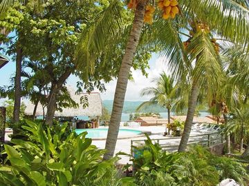 Flamingo Marina Resort