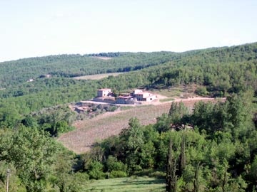 Le Noci